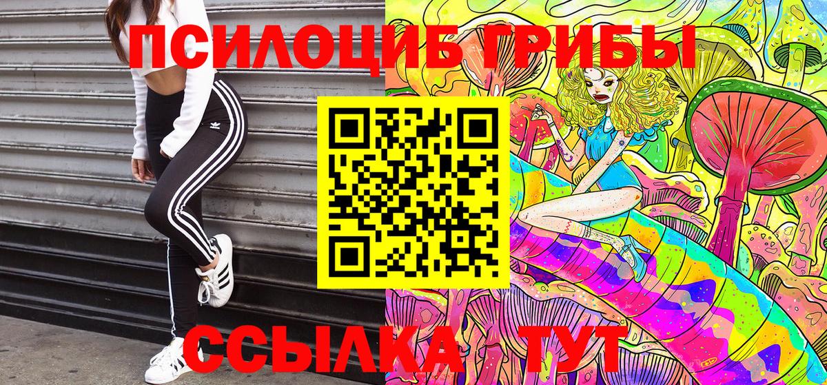Галлюциногенные грибы Psilocybine cubensis Донской