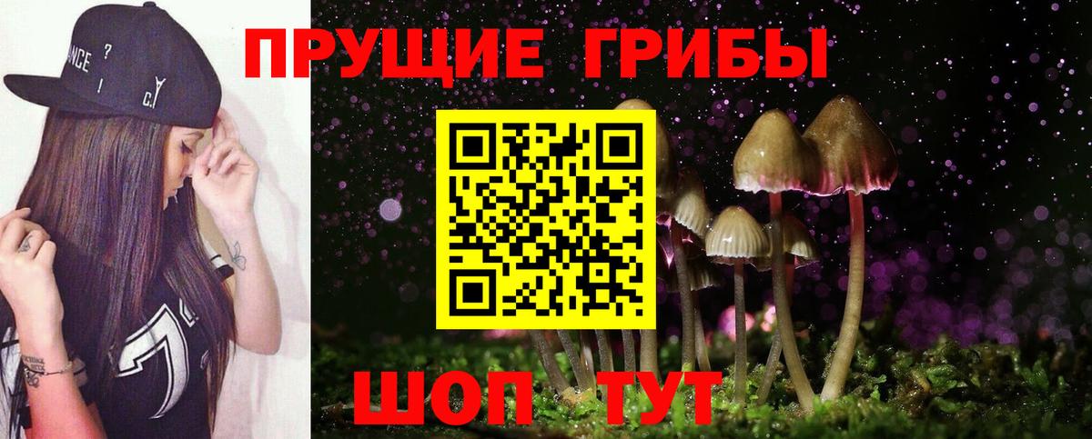 Донской  Псилоцибиновые грибы ЛСД  Вход с VPN 